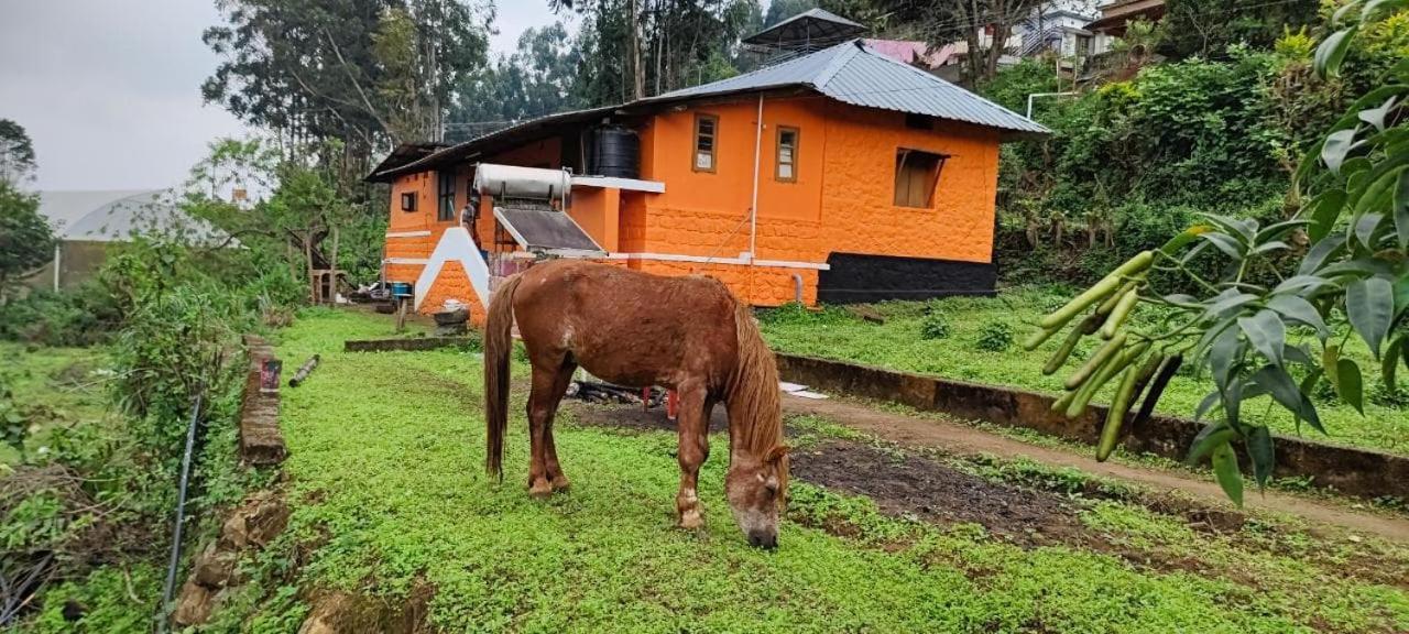 Paradise Cottage Vattavada, Munnar Экстерьер фото